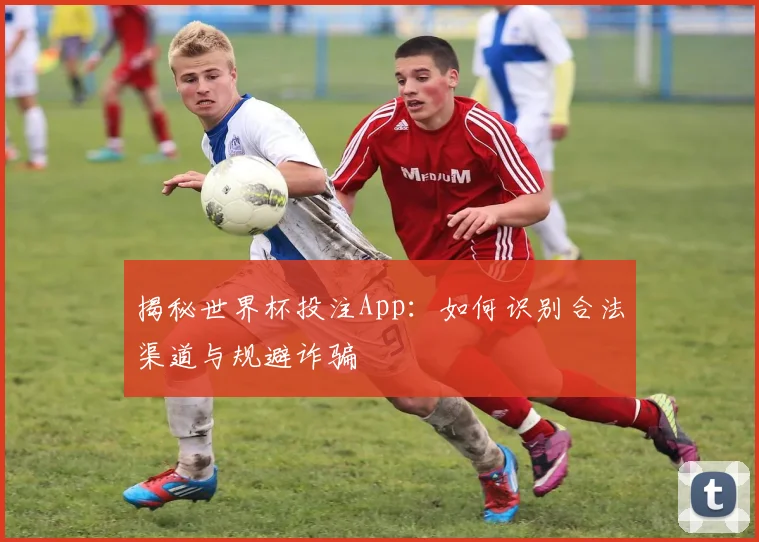 揭秘世界杯投注App：如何识别合法渠道与规避诈骗