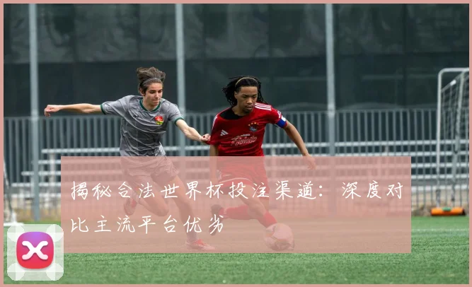 揭秘合法世界杯投注渠道：深度对比主流平台优劣
