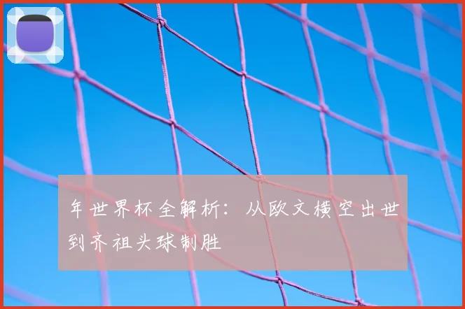年世界杯全解析：从欧文横空出世到齐祖头球制胜
