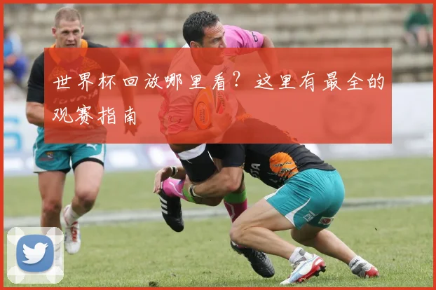 世界杯回放哪里看？这里有最全的观赛指南