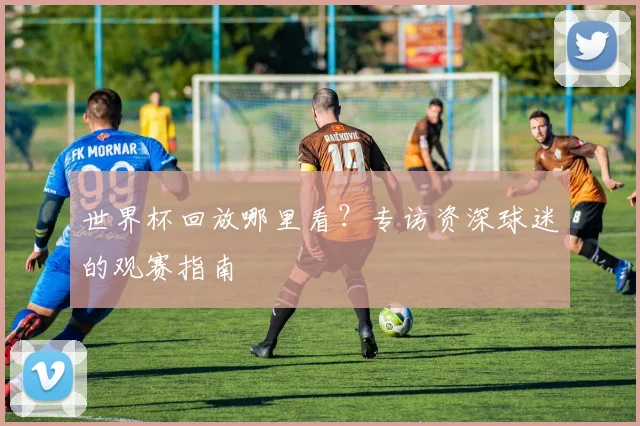 世界杯回放哪里看？专访资深球迷的观赛指南