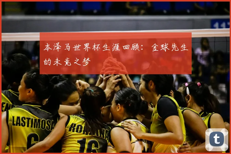 本泽马世界杯生涯回顾:金球先生的未竟之梦