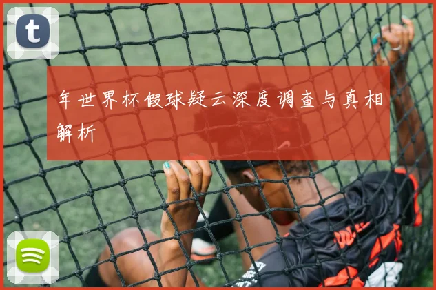 年世界杯假球疑云深度调查与真相解析