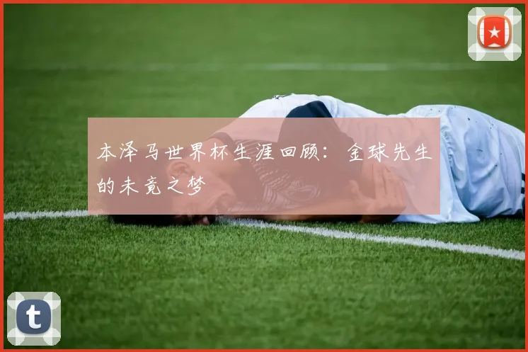 本泽马世界杯生涯回顾:金球先生的未竟之梦