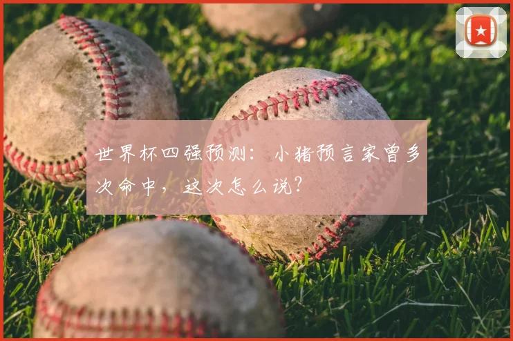 世界杯四强预测：小猪预言家曾多次命中，这次怎么说？