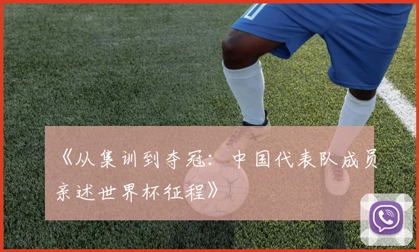 《从集训到夺冠：中国代表队成员亲述世界杯征程》
