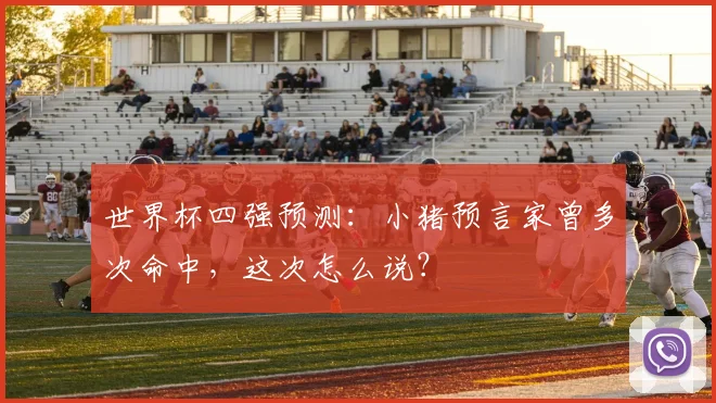 世界杯四强预测：小猪预言家曾多次命中，这次怎么说？